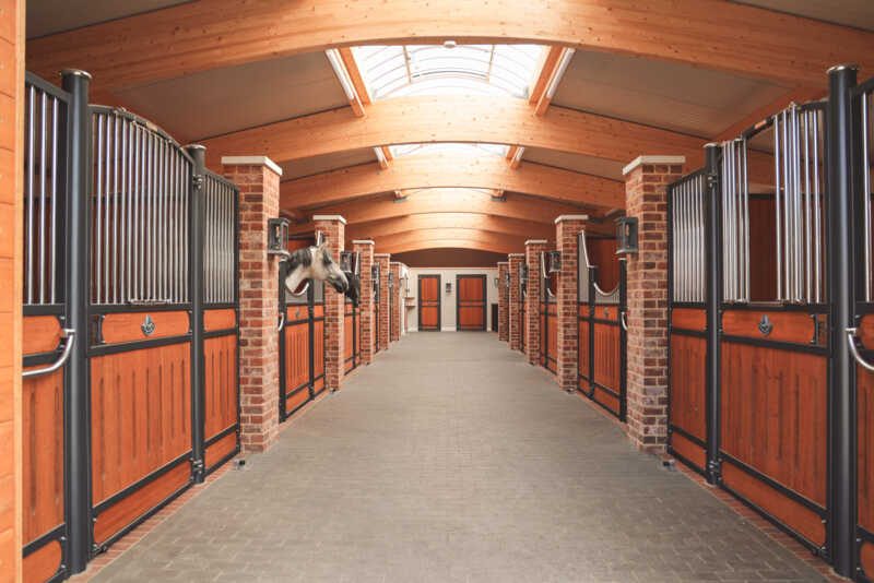 Wnętrze stajni zaprojektowane jako całość — rytm boksów, szerokość korytarza i doświetlenie ustalone razem.