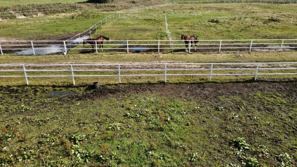 Strzelce Opolskie — pastwiska i ogrodzenia dla koni